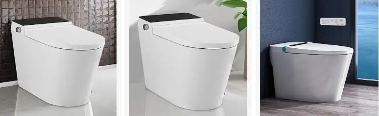 smart toilet