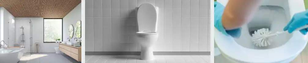 how to clean a toilet that is stained